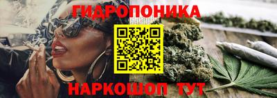 эйфоретик Новозыбков