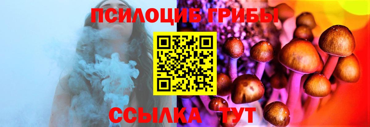 Галлюциногенные грибы прущие грибы  дарнет шоп  Шали  Вход с VPN 